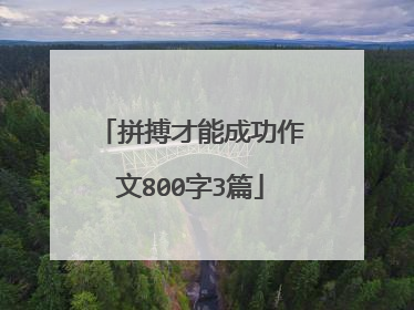 拼搏才能成功作文800字3篇