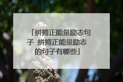 拼搏正能量励志句子 拼搏正能量励志的句子有哪些