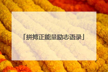 拼搏正能量励志语录