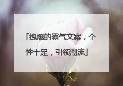 拽爆的霸气文案，个性十足，引领潮流