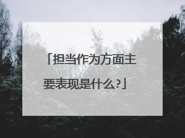 担当作为方面主要表现是什么?