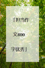 担当作文800字优秀