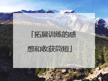拓展训练的感想和收获简短