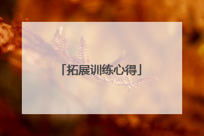 拓展训练心得