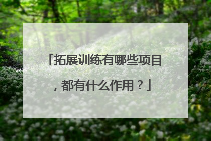 拓展训练有哪些项目,都有什么作用?