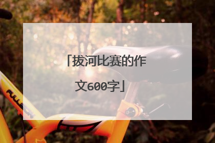 拔河比赛的作文600字