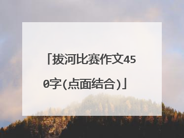 拔河比赛作文450字(点面结合)