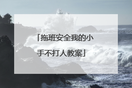 拖班安全我的小手不打人教案