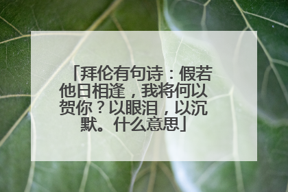 拜伦有句诗:假若他日相逢,我将何以贺你?以眼泪,以沉默。什么意思