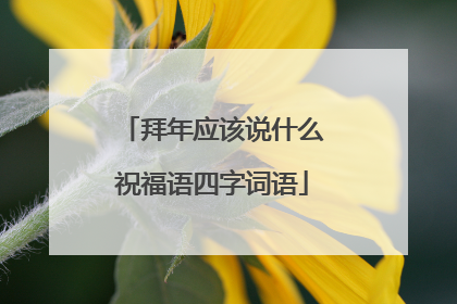 拜年应该说什么祝福语四字词语