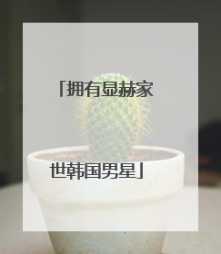 拥有显赫家世韩国男星