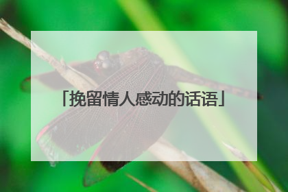 挽留情人感动的话语