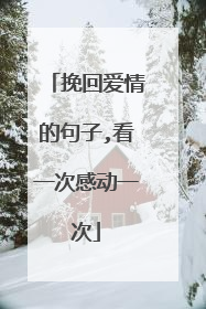 挽回爱情的句子,看一次感动一次