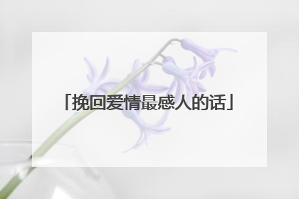 挽回爱情最感人的话
