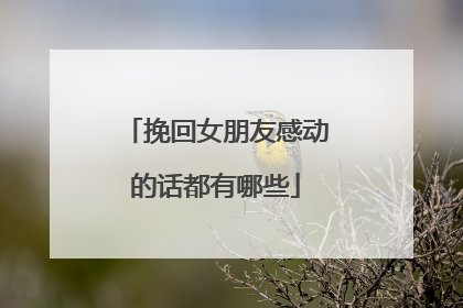 挽回女朋友感动的话都有哪些