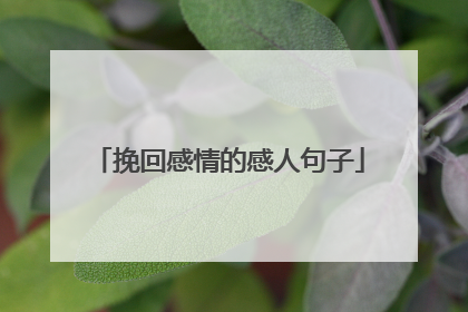 挽回感情的感人句子