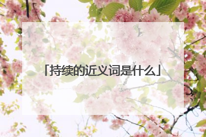 持续的近义词是什么