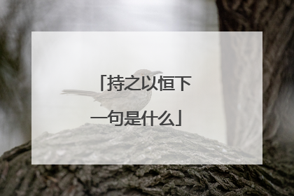 持之以恒下一句是什么