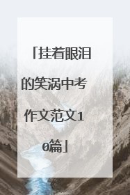 挂着眼泪的笑涡中考作文范文10篇