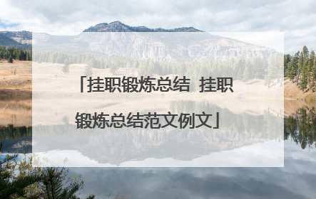 挂职锻炼总结 挂职锻炼总结范文例文