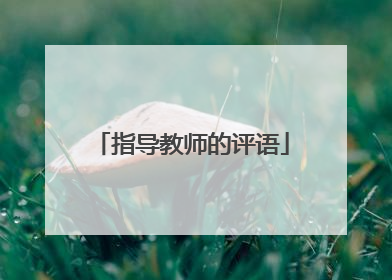 指导教师的评语