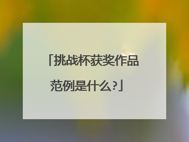 挑战杯获奖作品范例是什么?