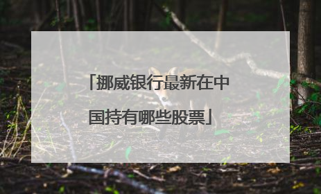 挪威银行最新在中国持有哪些股票