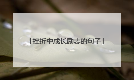 挫折中成长励志的句子