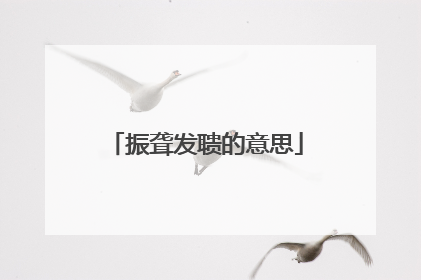 振聋发聩的意思
