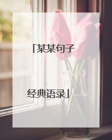 某某句子经典语录