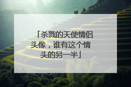 杀戮的天使情侣头像,谁有这个情头的另一半