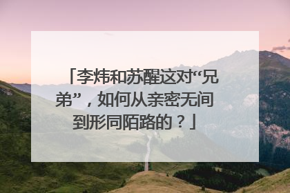 李炜和苏醒这对“兄弟”，如何从亲密无间到形同陌路的？