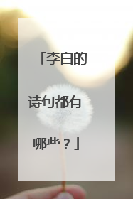 李白的诗句都有哪些?