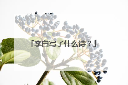 李白写了什么诗?