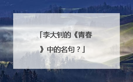 李大钊的《青春》中的名句？