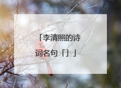 李清照的诗词名句「」
