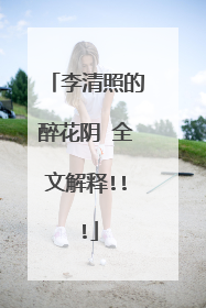 李清照的醉花阴 全文解释!!!