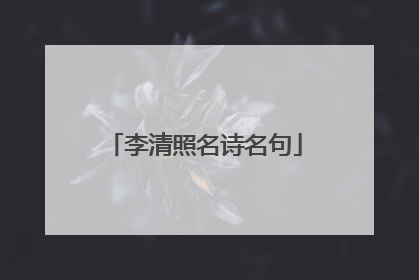 李清照名诗名句