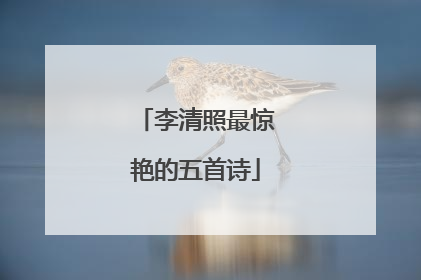 李清照最惊艳的五首诗