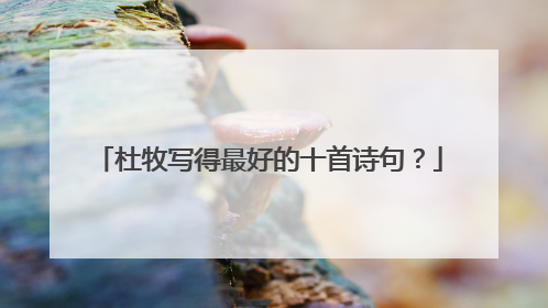 杜牧写得最好的十首诗句?