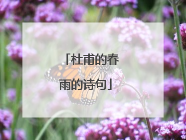 杜甫的春雨的诗句