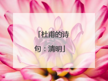 杜甫的诗句：清明