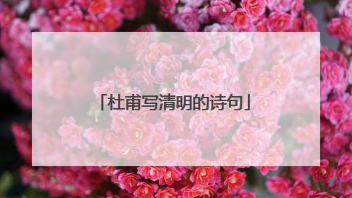 杜甫写清明的诗句