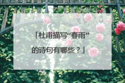 杜甫描写“春雨”的诗句有哪些？