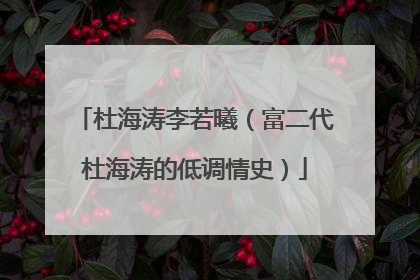 杜海涛李若曦(富二代杜海涛的低调情史)