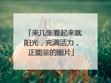 来几张看起来就阳光,充满活力,正能量的图片