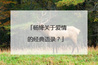 杨绛关于爱情的经典语录?