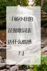 杨小壮的逞强歌词表达什么情感？