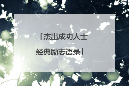 杰出成功人士经典励志语录