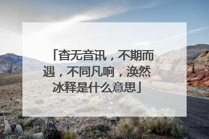 杳无音讯,不期而遇,不同凡响,涣然冰释是什么意思